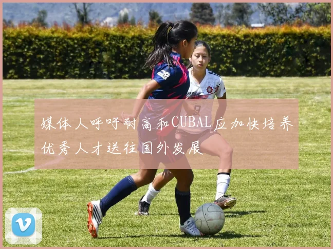 媒体人呼吁耐高和CUBAL应加快培养优秀人才送往国外发展